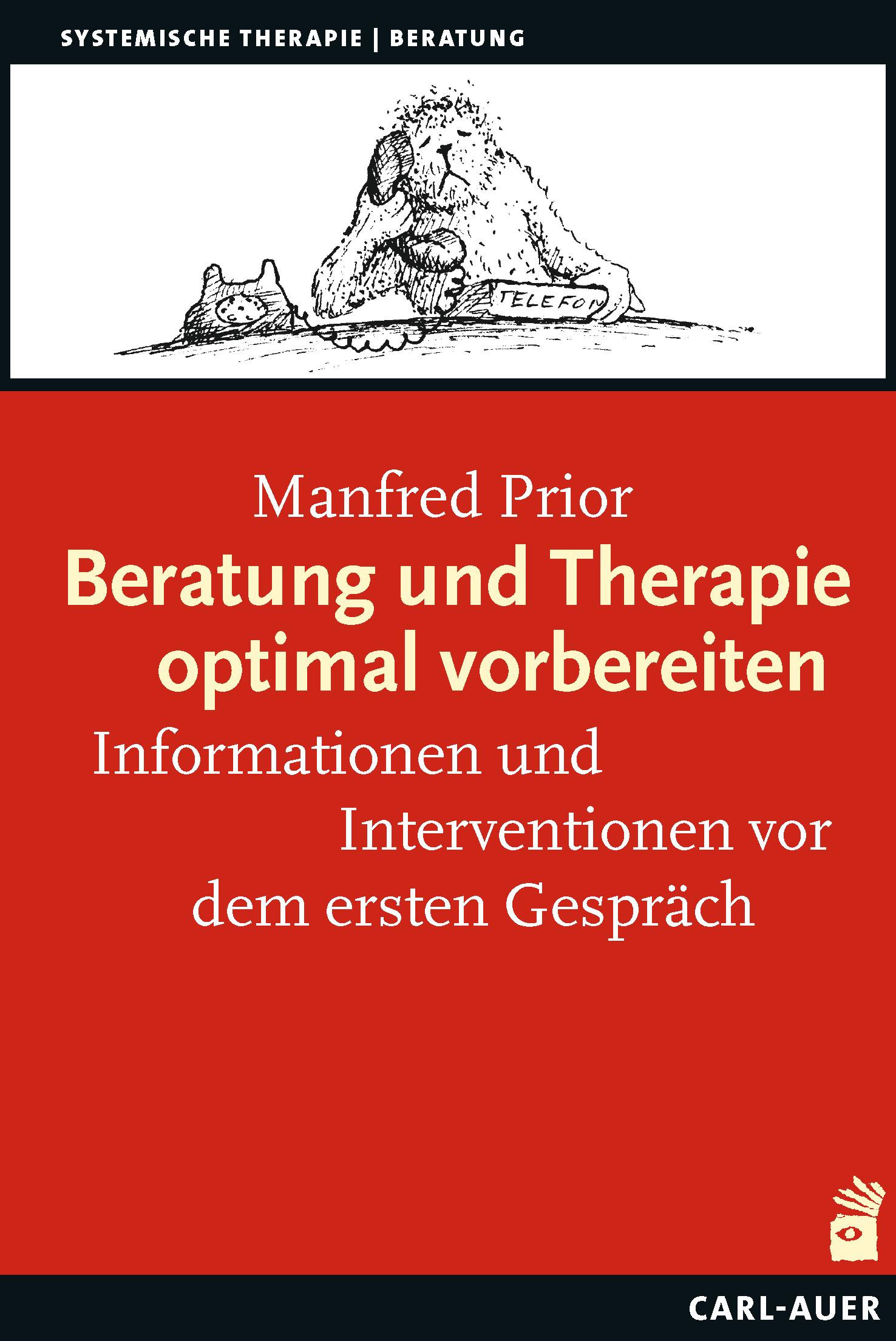 Vorderes Coverbild Beratung und Therapie optimal vorbereiten