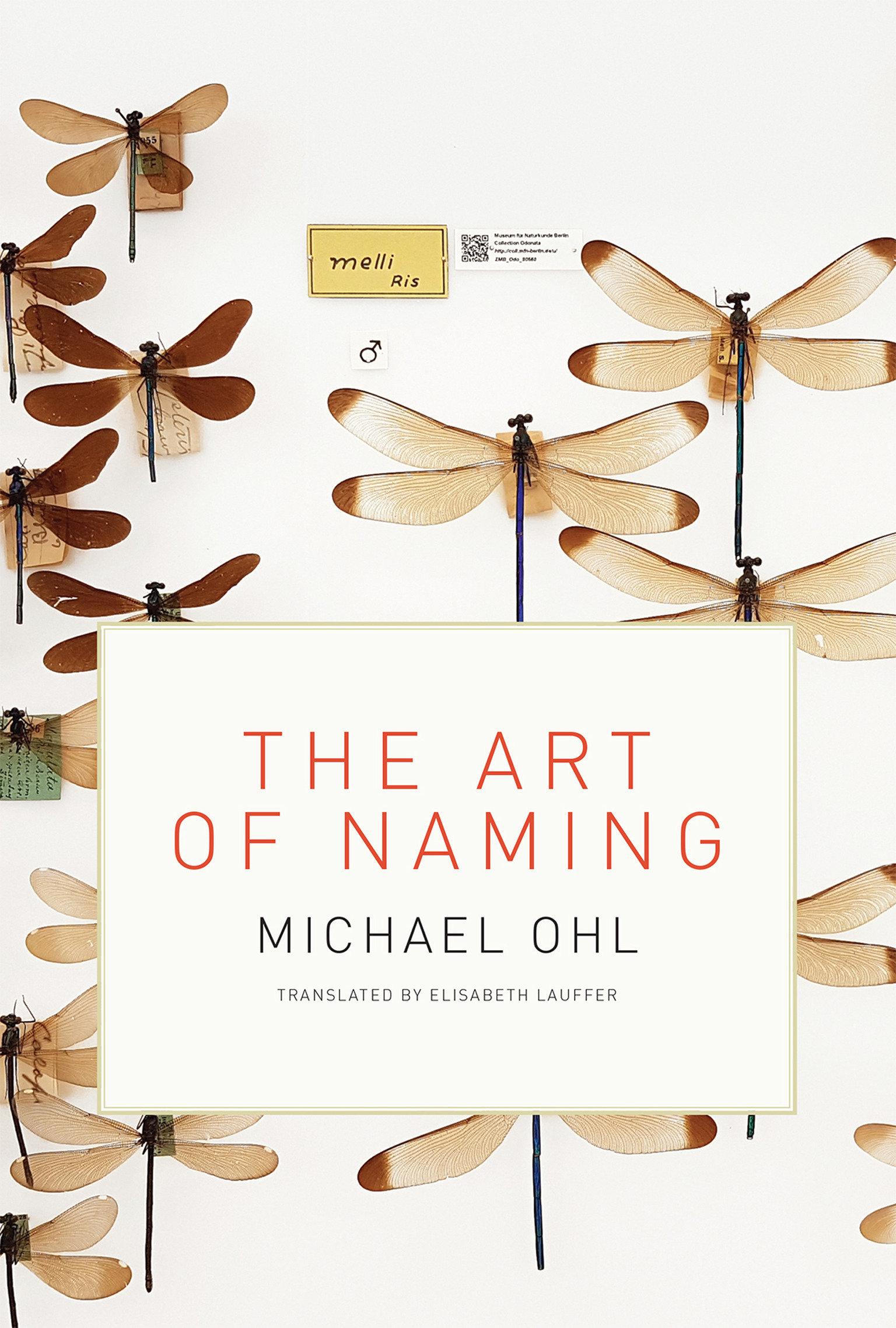 Vorderes Coverbild The Art of Naming