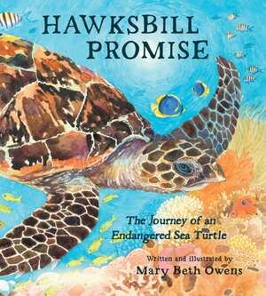 Vorderes Coverbild Hawksbill Promise
