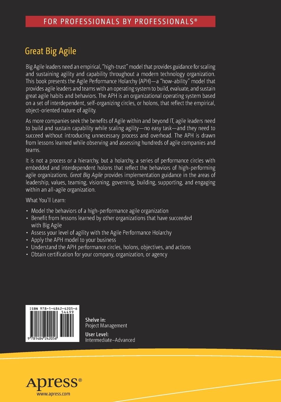 Rückseitencover Great Big Agile