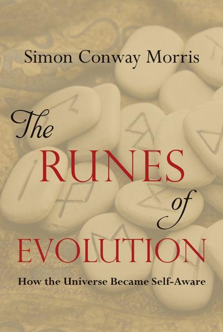 Vorderes Coverbild The Runes of Evolution