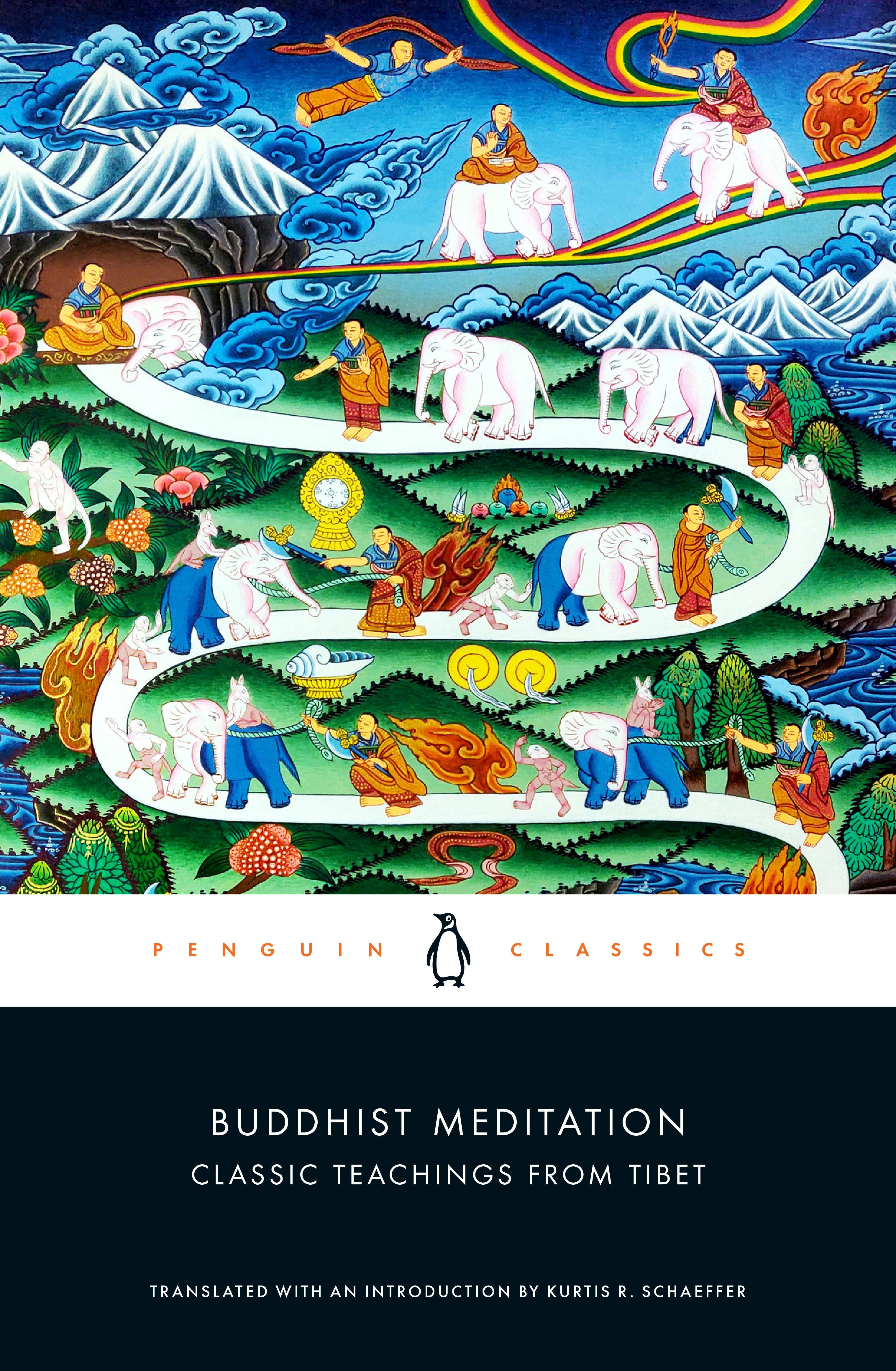 Vorderes Coverbild Buddhist Meditation