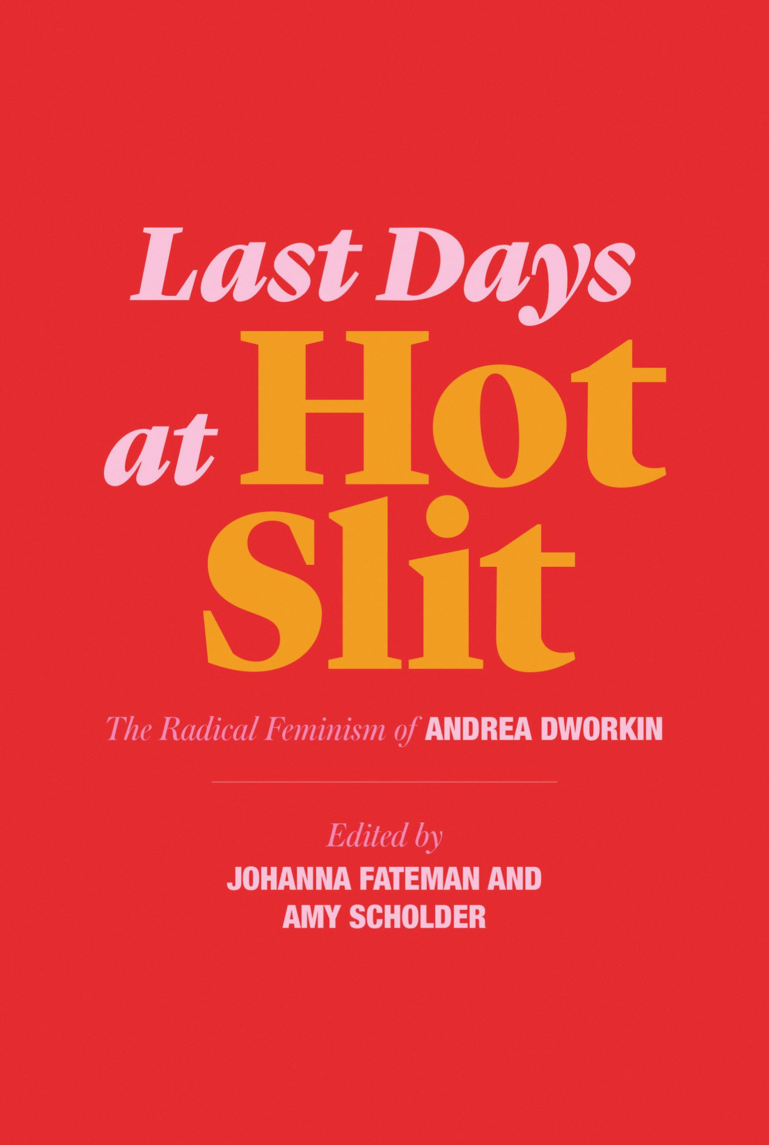 Vorderes Coverbild Last Days at Hot Slit
