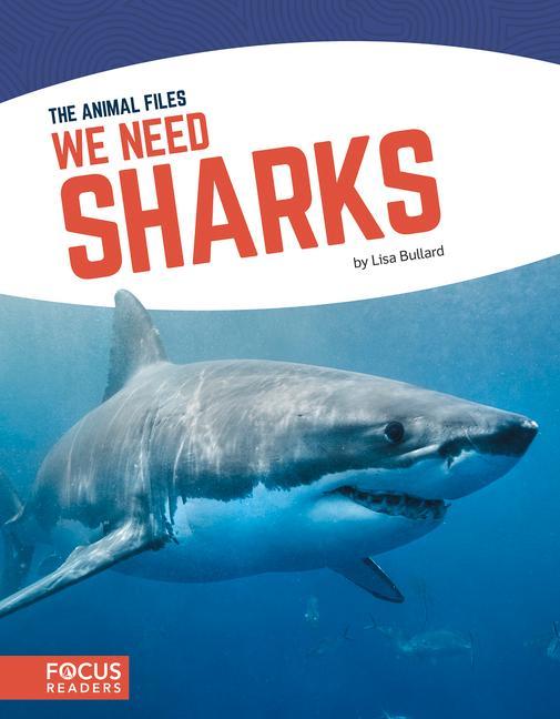 Vorderes Coverbild We Need Sharks