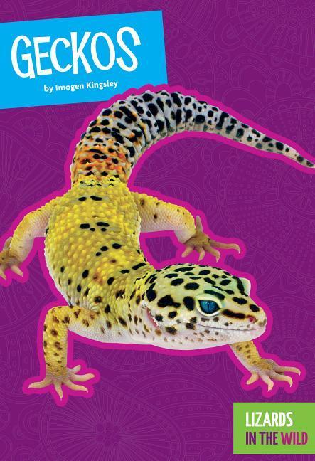Vorderes Coverbild Geckos