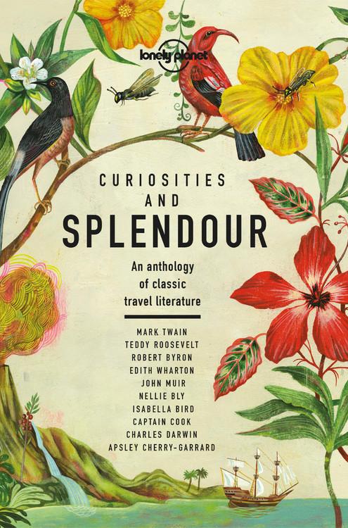 Vorderes Coverbild Lonely Planet Curiosities and Splendour