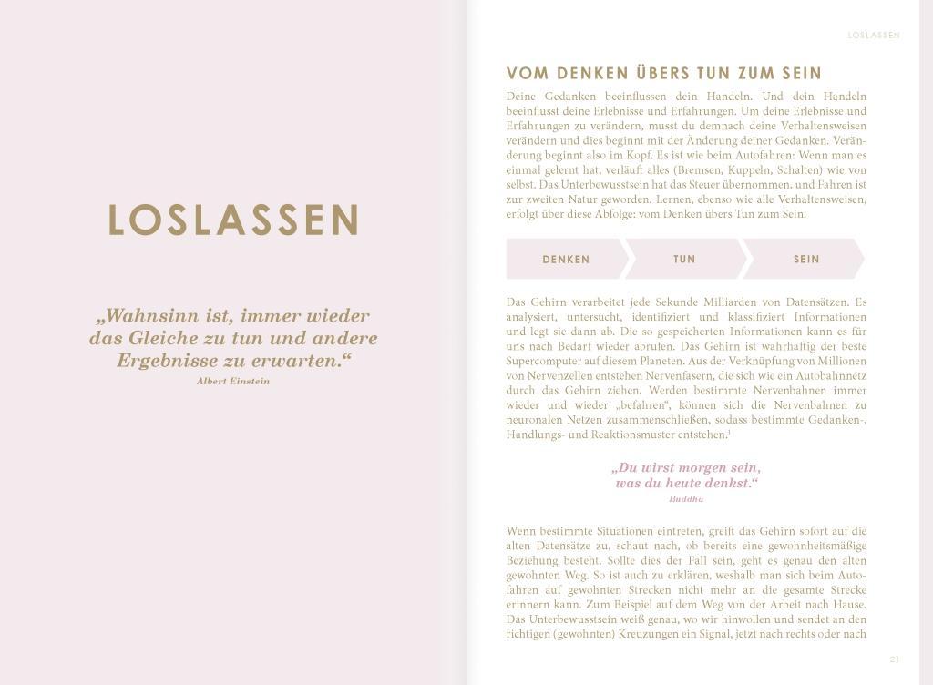 Beispielinhalt (Bild) THE NEW YOU (rosa) - Das Buch, das dein Leben verändert.