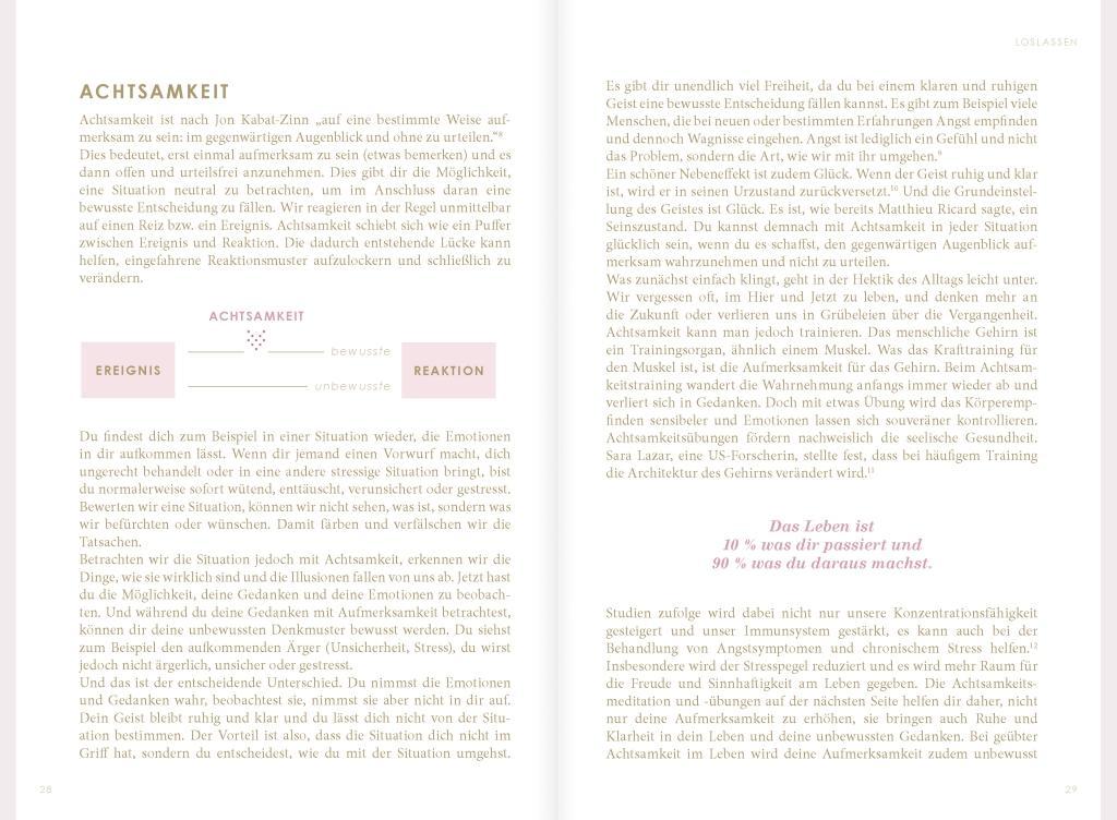 Beispielinhalt (Bild) THE NEW YOU (rosa) - Das Buch, das dein Leben verändert.