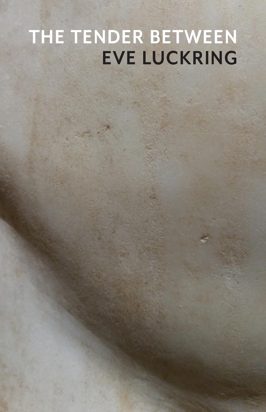 Vorderes Coverbild The Tender Between