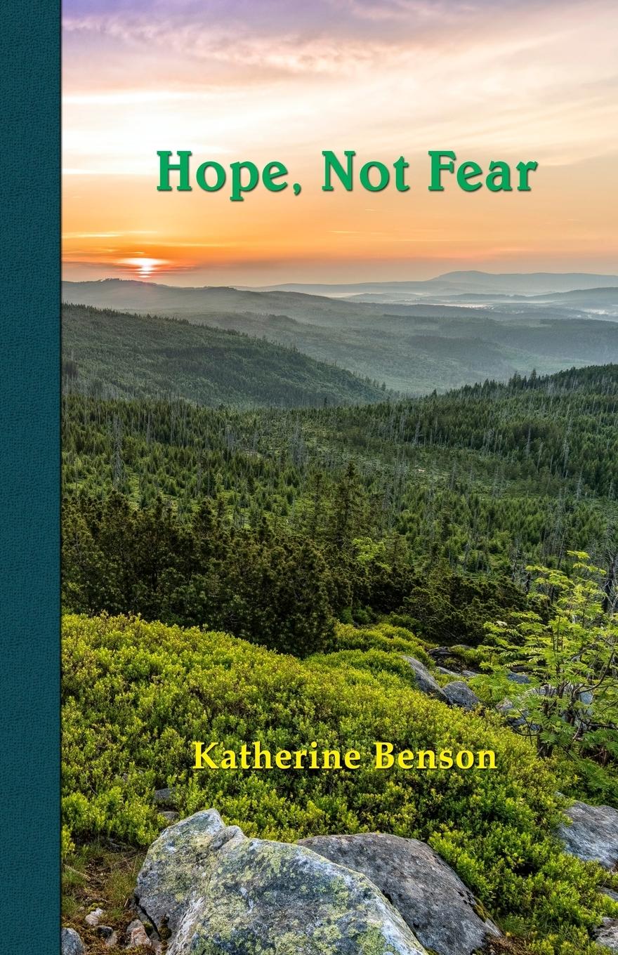 Vorderes Coverbild Hope, Not Fear