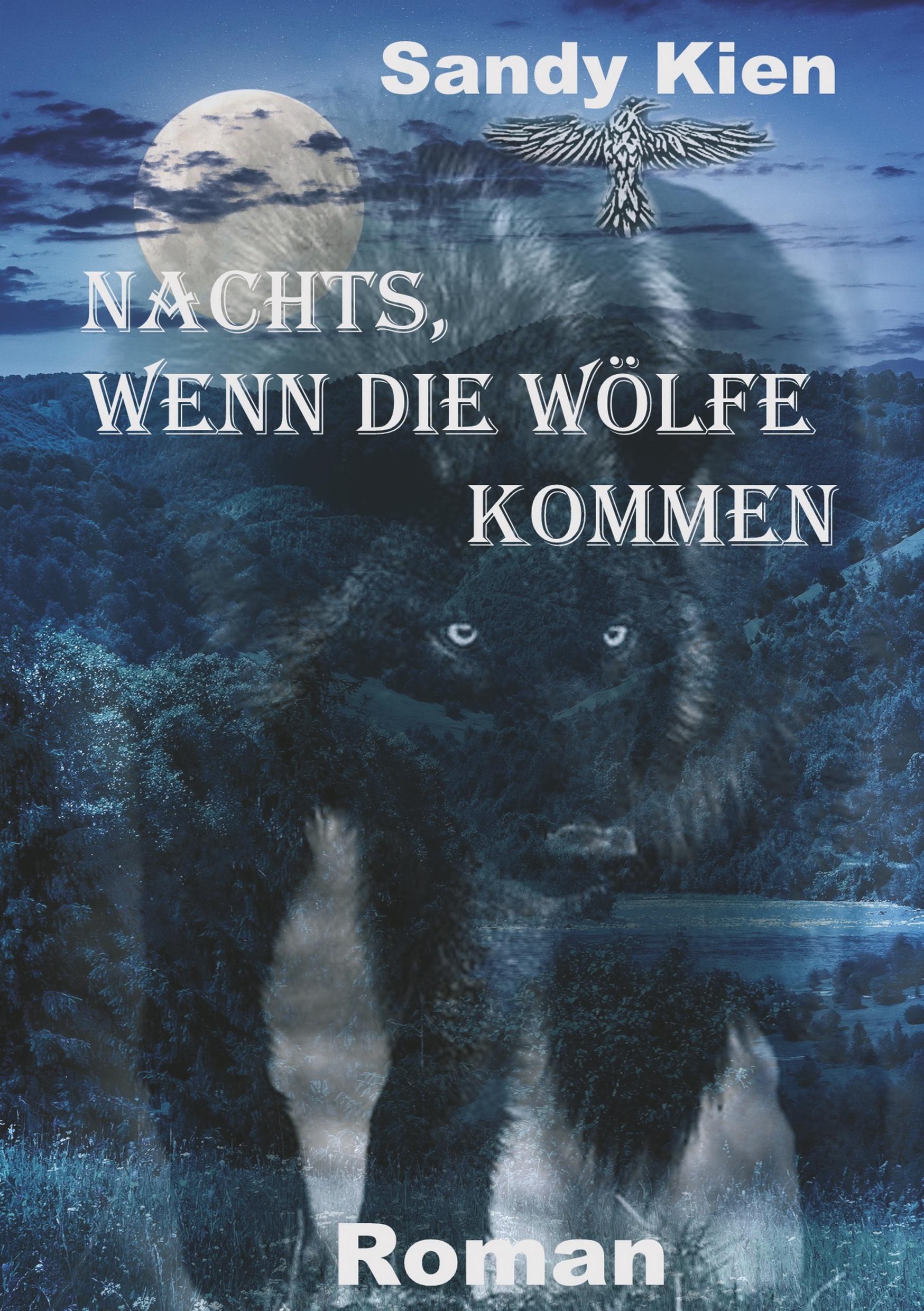Vorderes Coverbild Nachts, wenn die Wölfe kommen