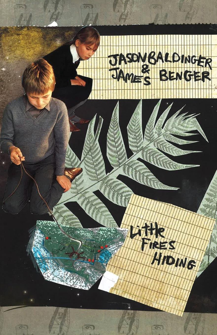 Vorderes Coverbild Little Fires Hiding