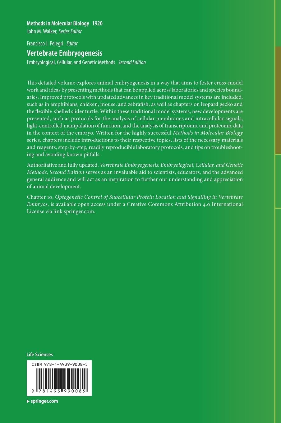 Rückseitencover Vertebrate Embryogenesis
