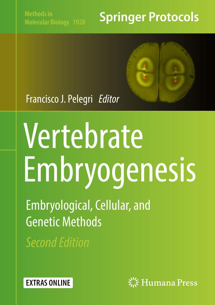 Vorderes Coverbild Vertebrate Embryogenesis