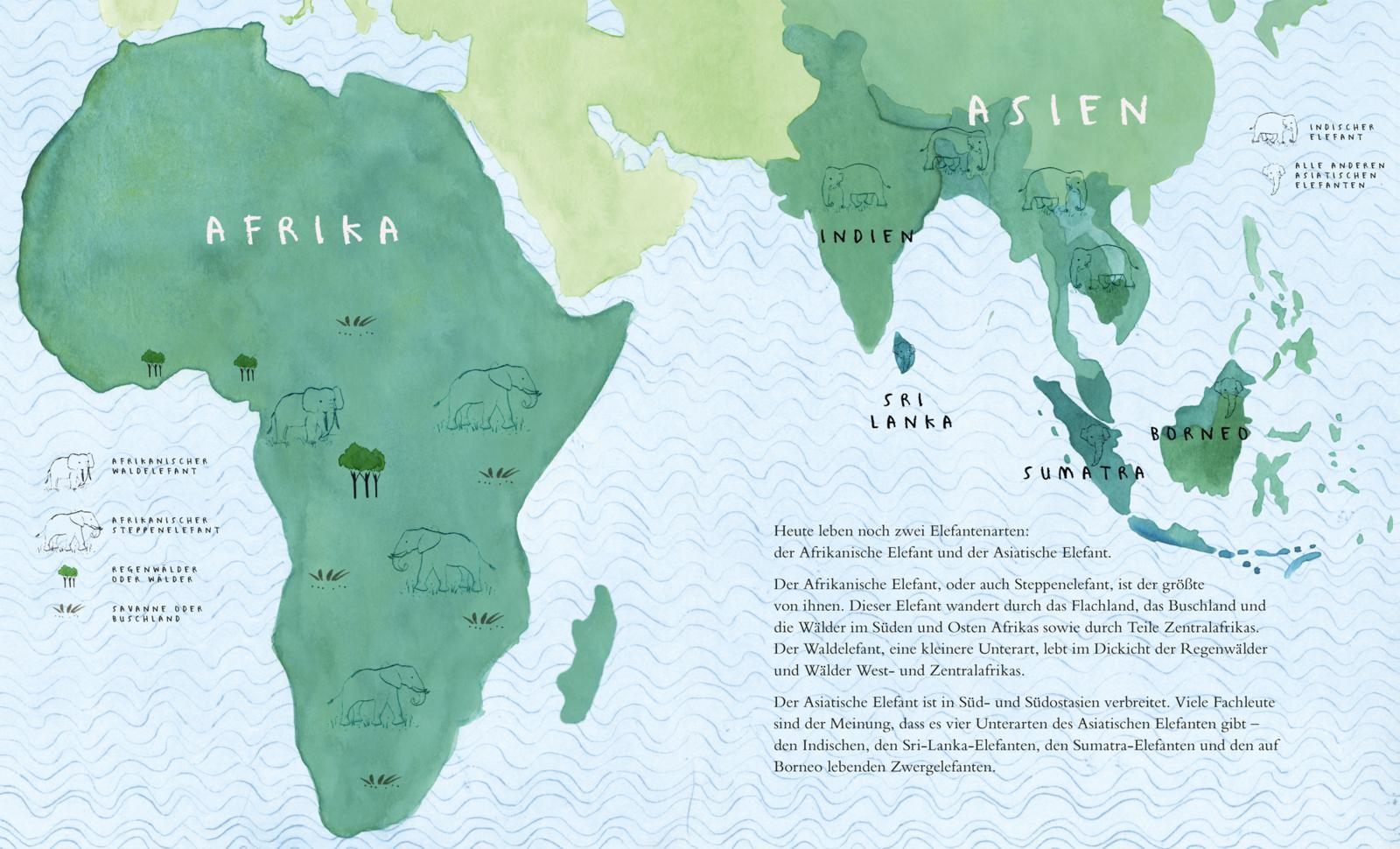 Beispielinhalt (Bild) Der Elefant