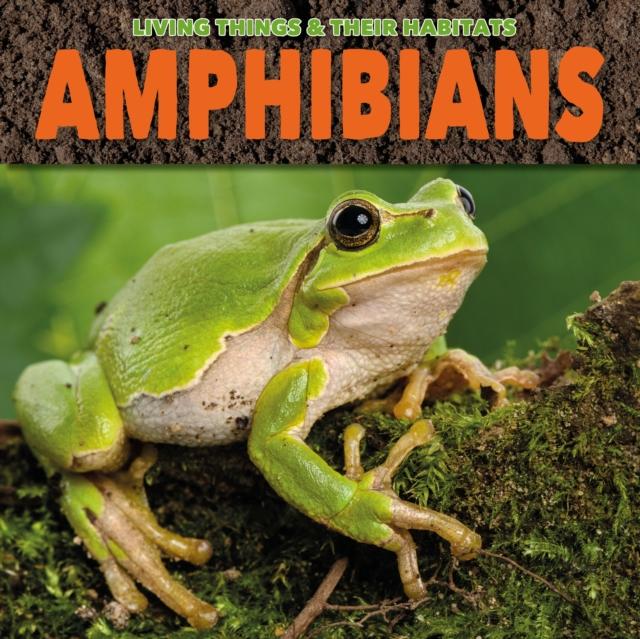 Vorderes Coverbild Amphibians