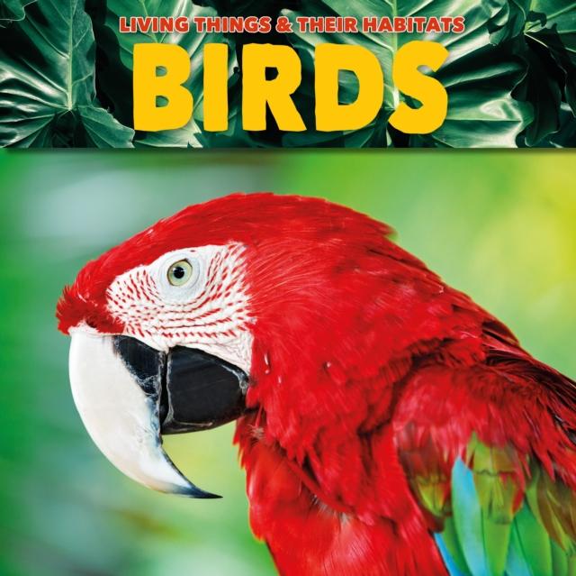 Vorderes Coverbild Birds
