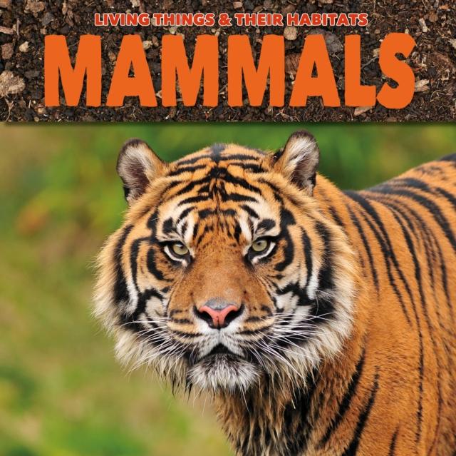 Vorderes Coverbild Mammals
