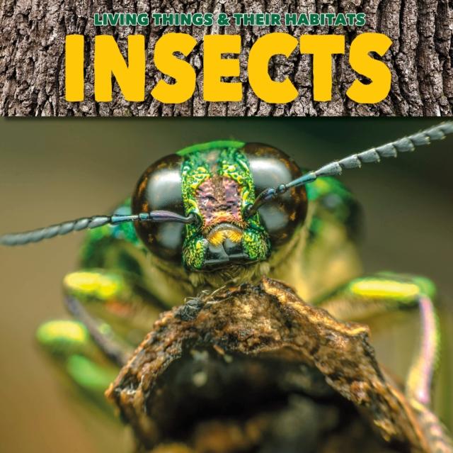 Vorderes Coverbild Insects