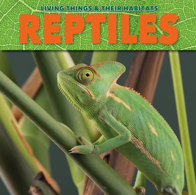 Vorderes Coverbild Reptiles