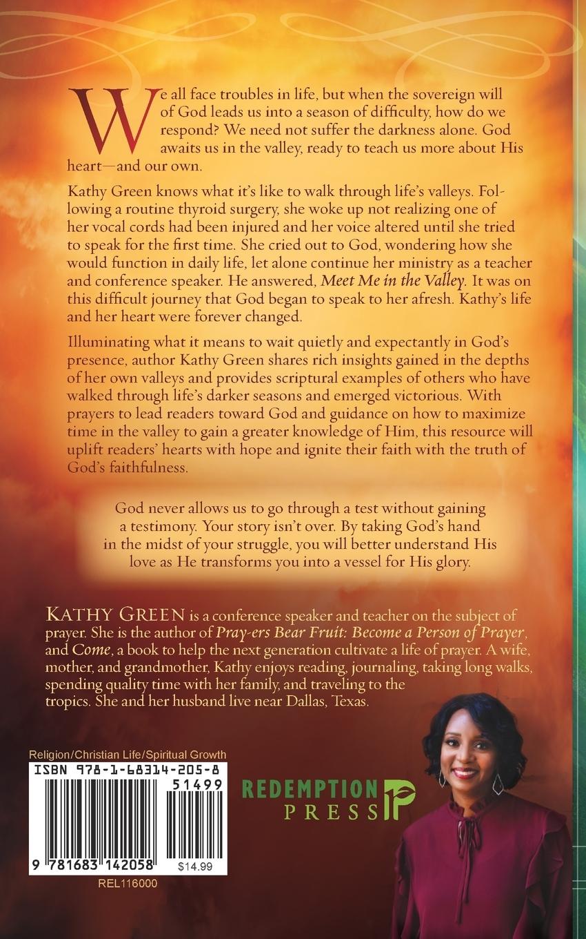 Rückseitencover Meet Me in the Valley