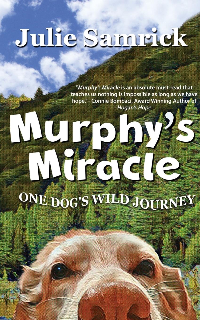 Vorderes Coverbild Murphy's Miracle