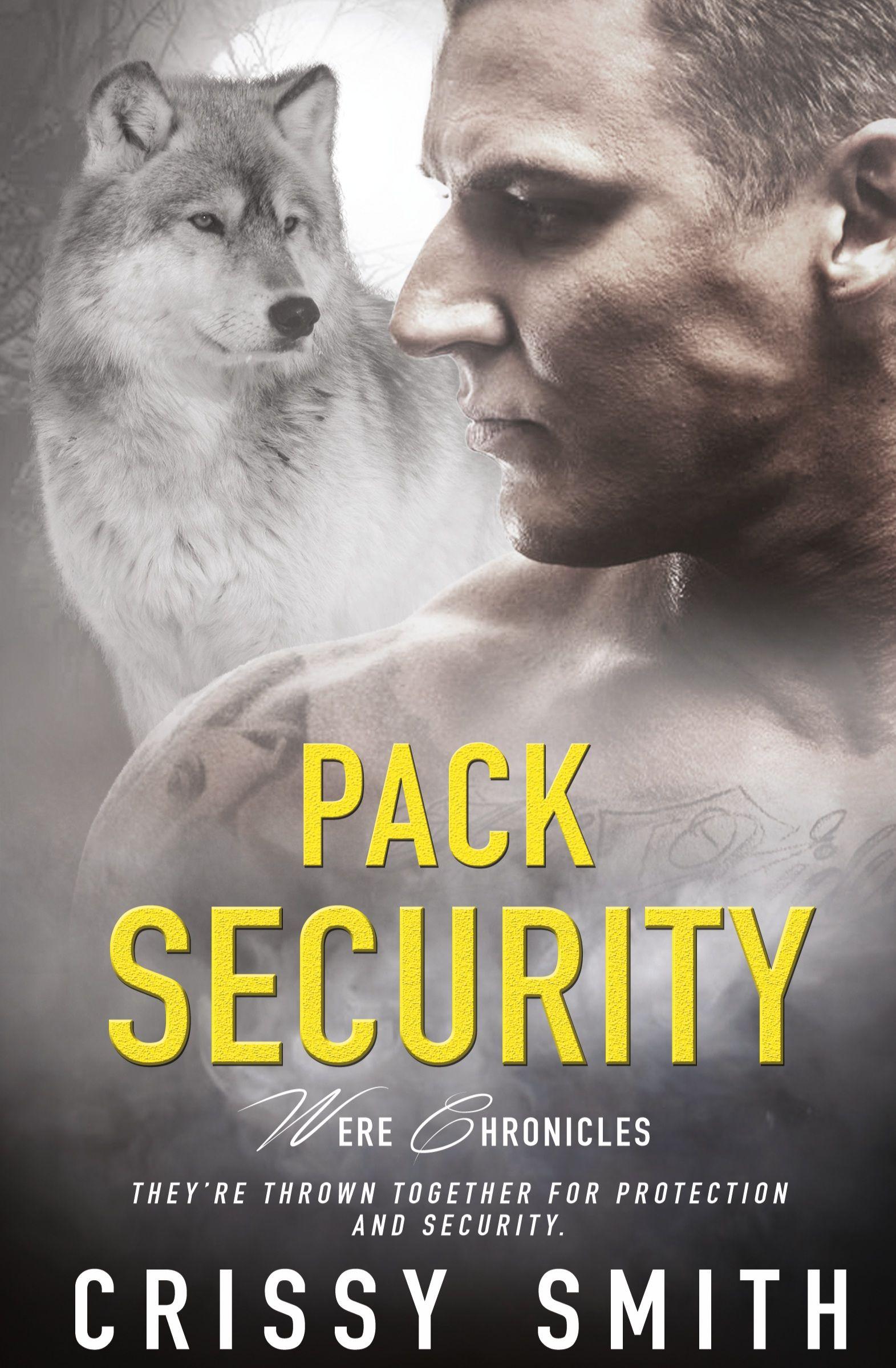 Vorderes Coverbild Pack Security