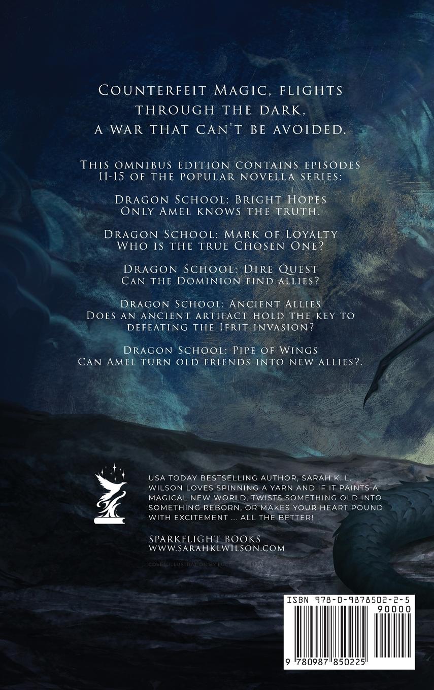 Rückseitencover Dragon School