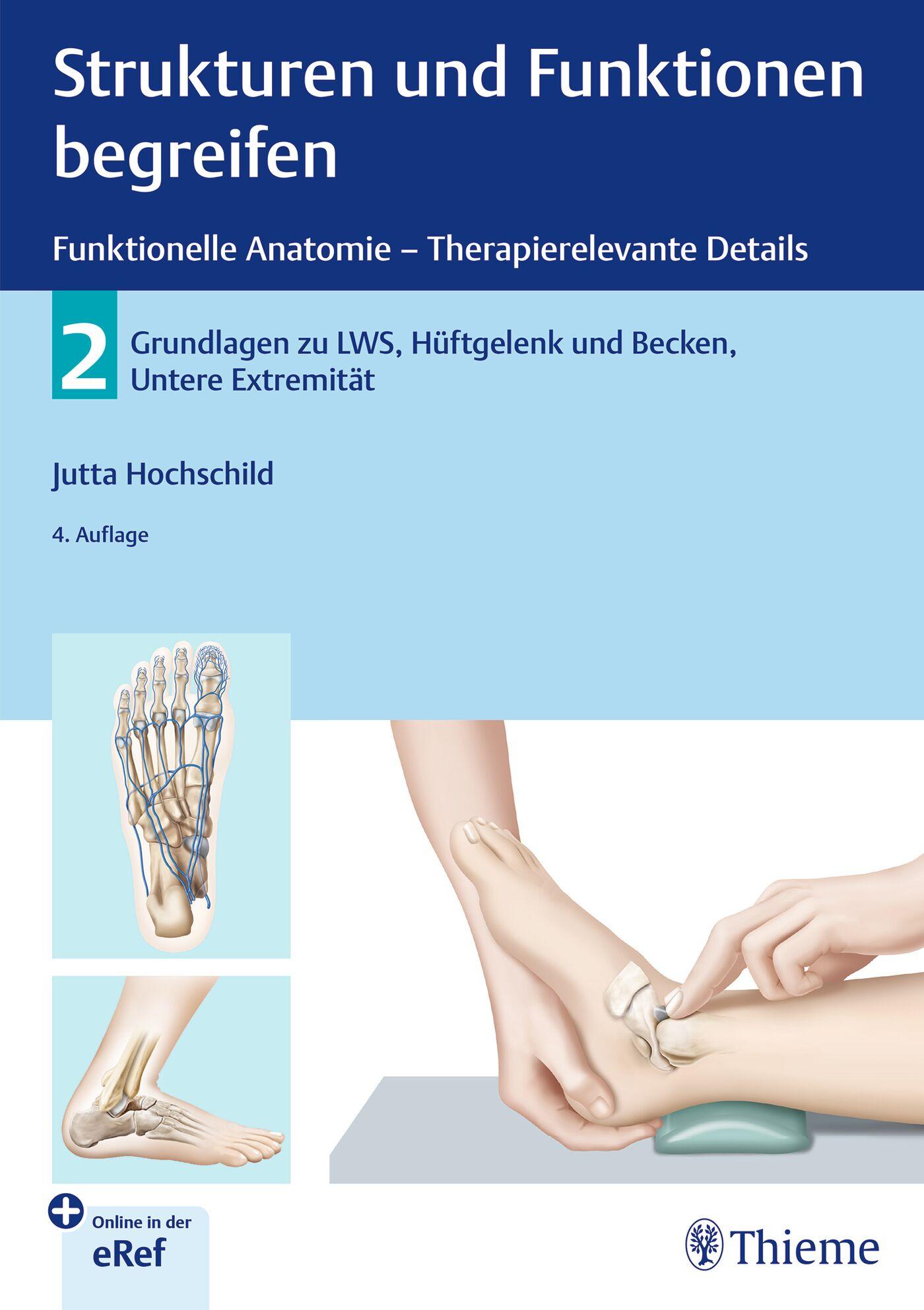 Vorderes Coverbild Strukturen und Funktionen begreifen - Funktionelle Anatomie