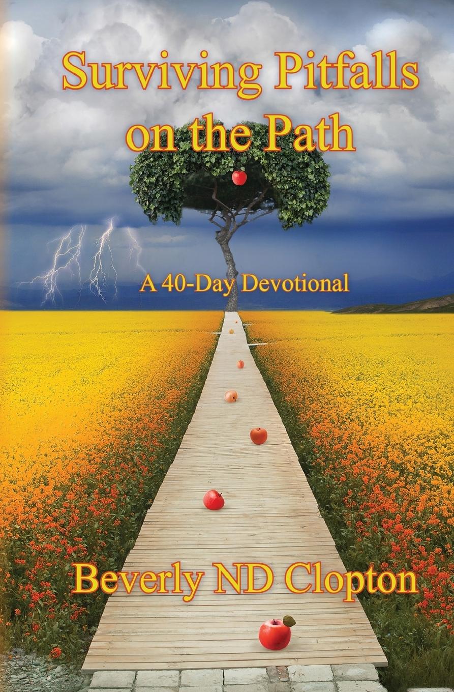 Vorderes Coverbild Surviving Pitfalls on the Path