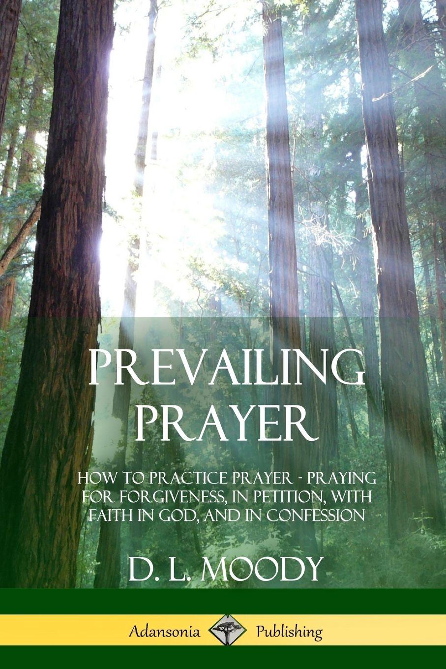 Vorderes Coverbild Prevailing Prayer