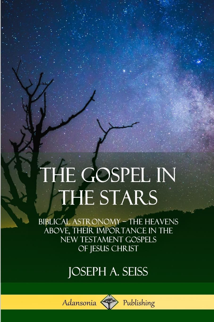 Vorderes Coverbild The Gospel in the Stars