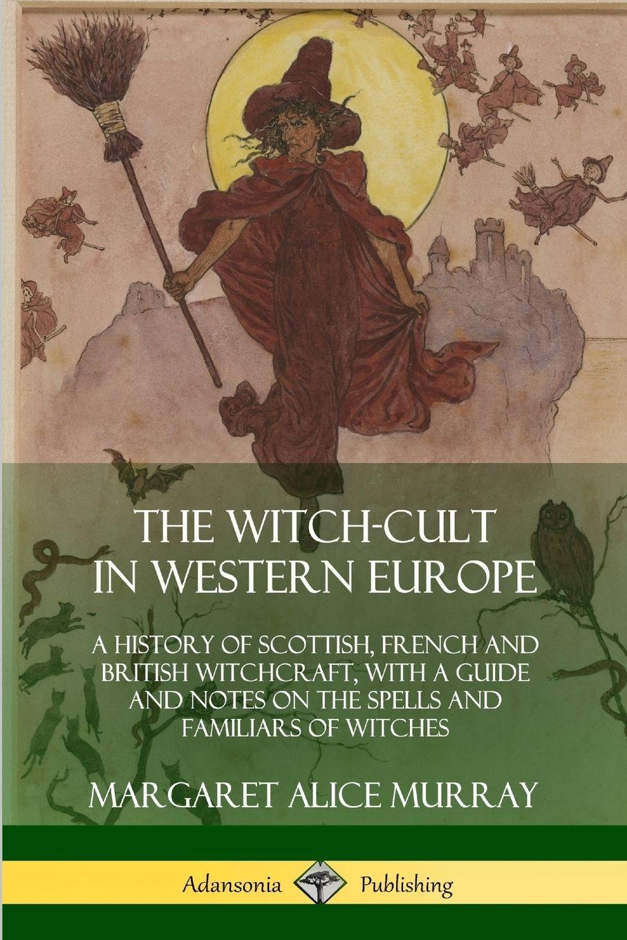 Vorderes Coverbild The Witch-cult in Western Europe