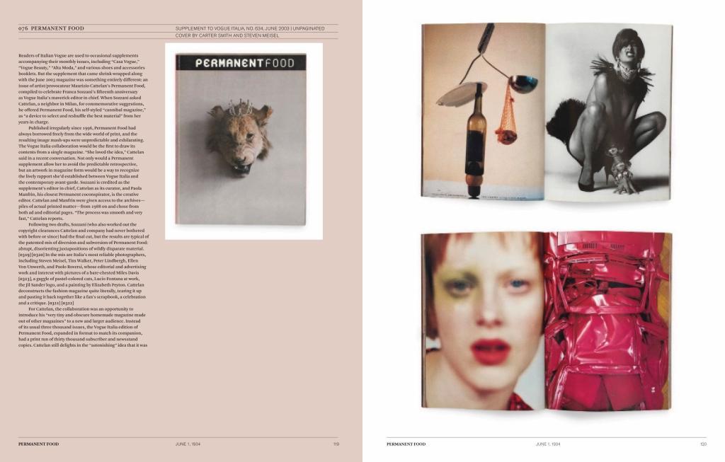 Beispielinhalt (Bild) Issues