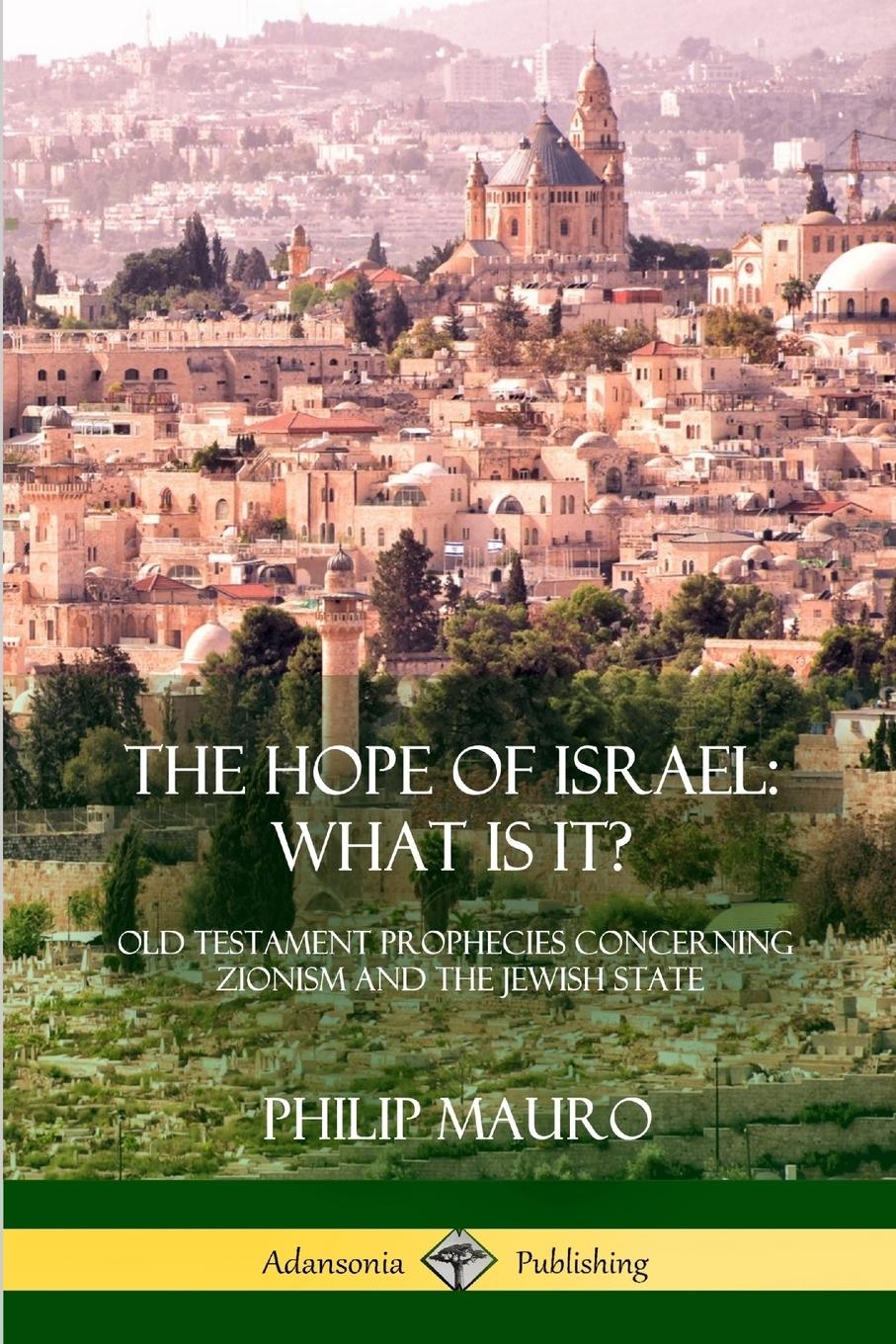 Vorderes Coverbild The Hope of Israel; What Is It?