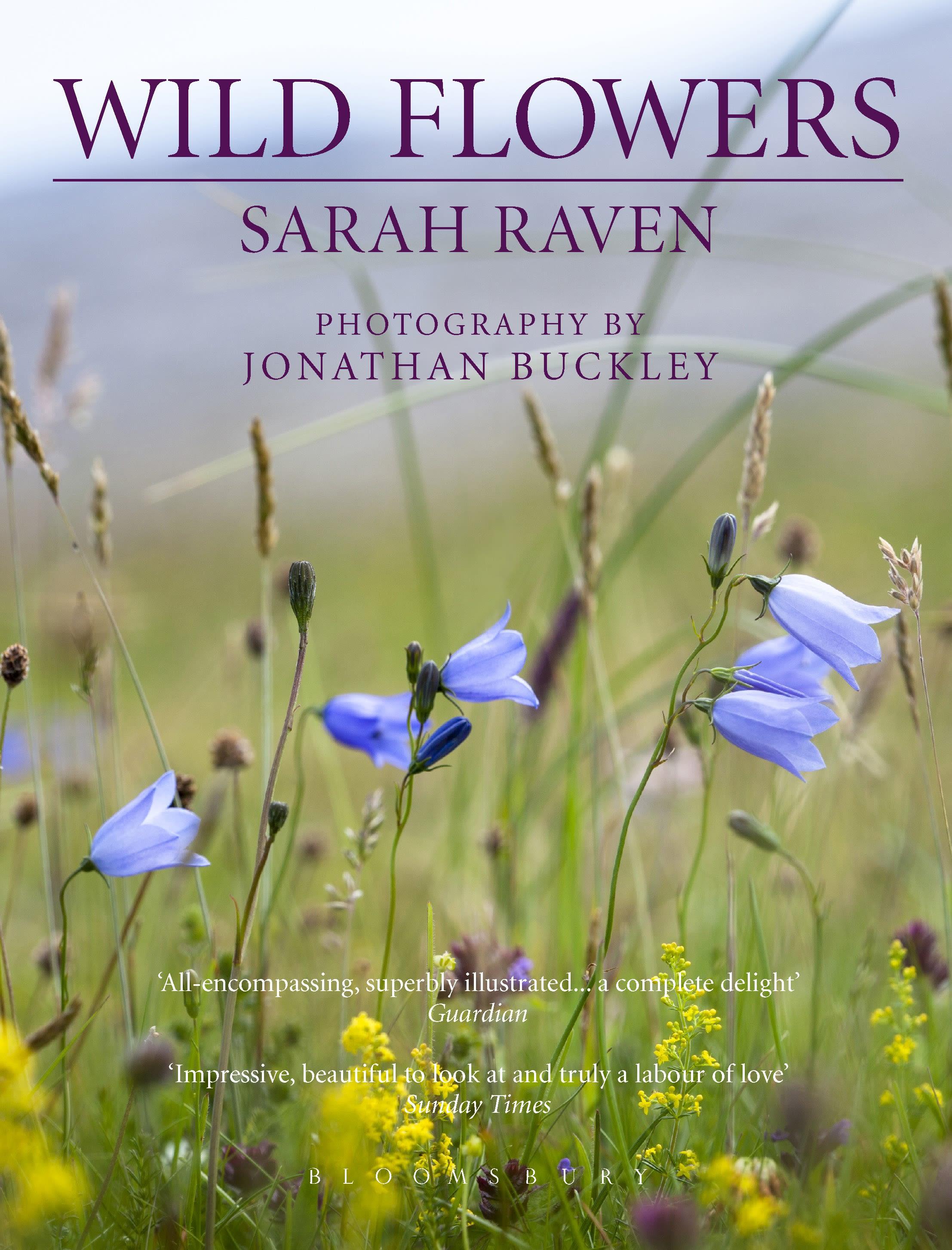Vorderes Coverbild Sarah Raven's Wild Flowers