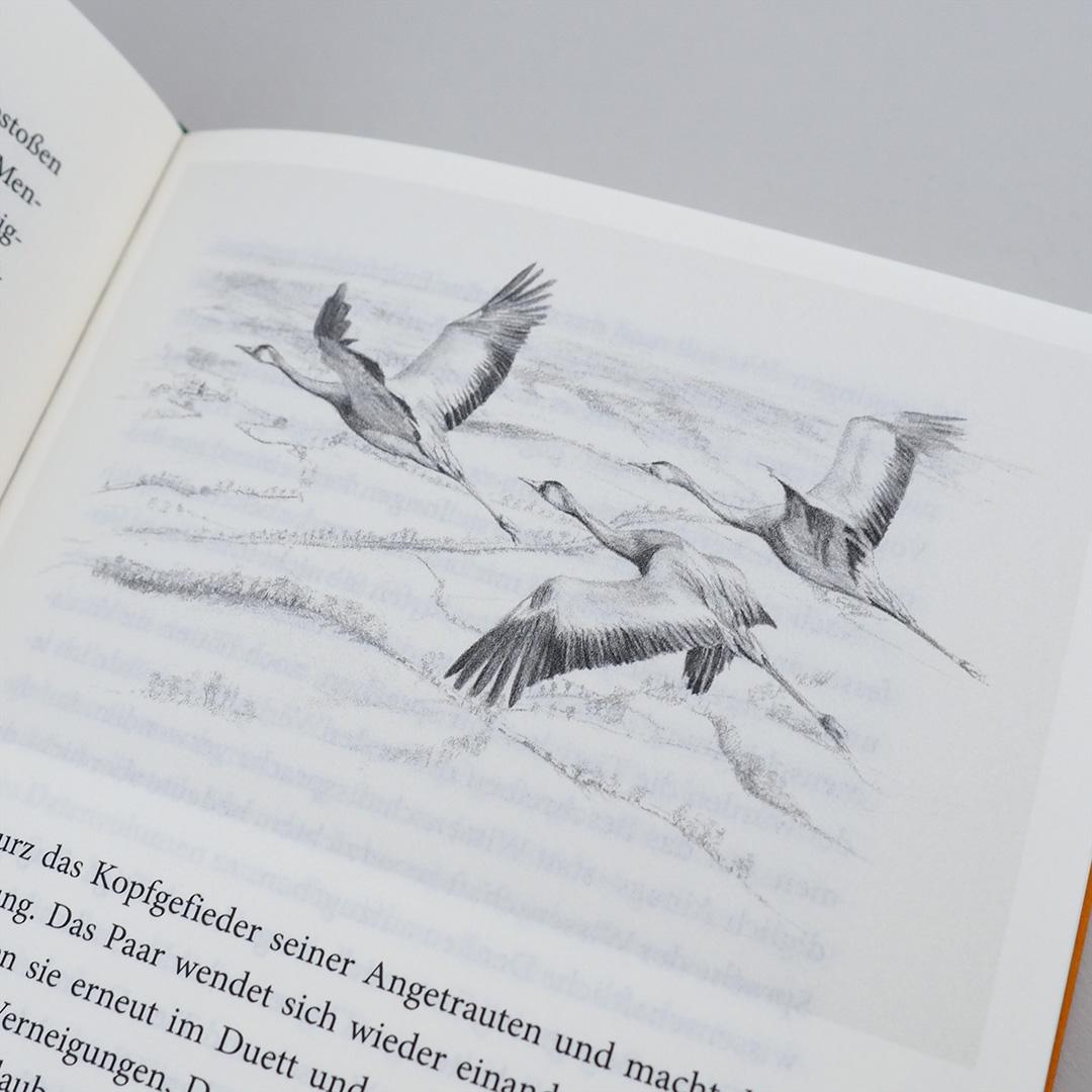 Beispielinhalt (Bild) Nestwärme