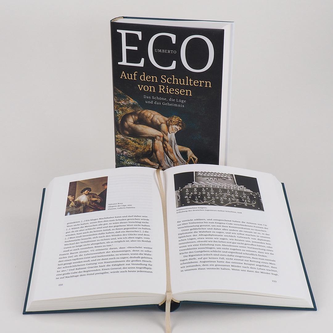 Beispielinhalt (Bild) Auf den Schultern von Riesen