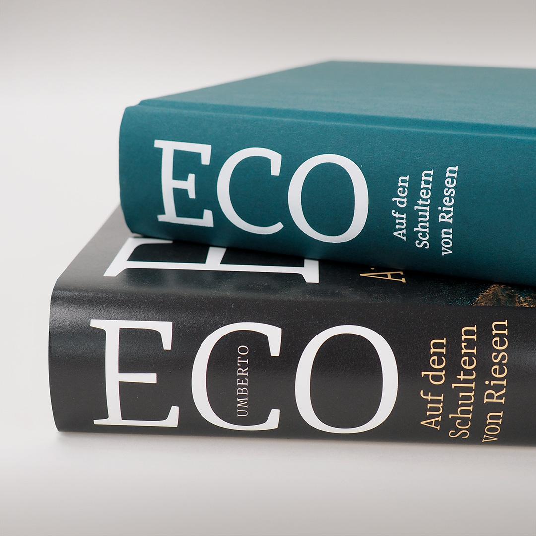 Beispielinhalt (Bild) Auf den Schultern von Riesen