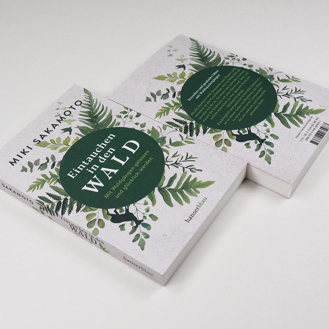 Beispielinhalt (Bild) Eintauchen in den Wald