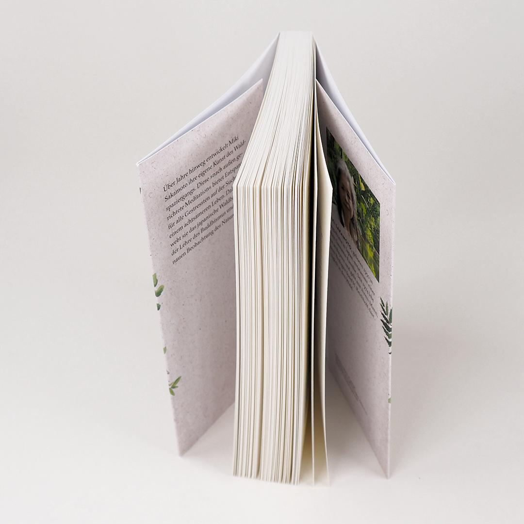 Beispielinhalt (Bild) Eintauchen in den Wald