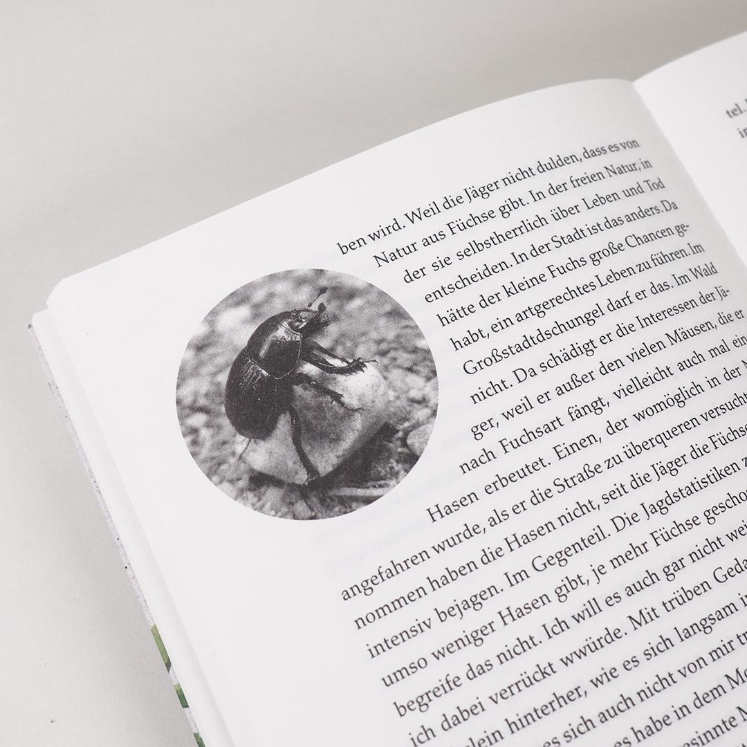 Beispielinhalt (Bild) Eintauchen in den Wald