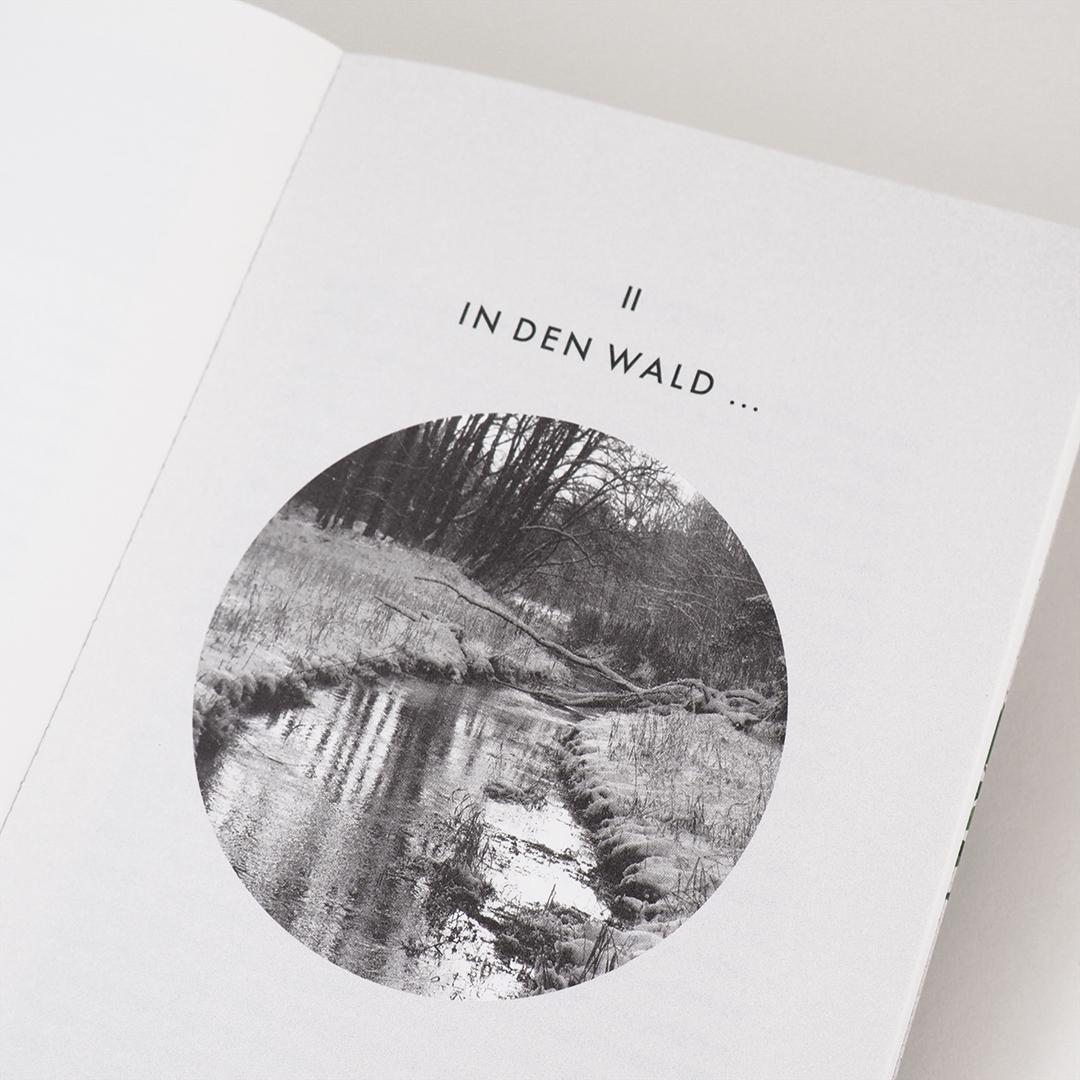 Beispielinhalt (Bild) Eintauchen in den Wald