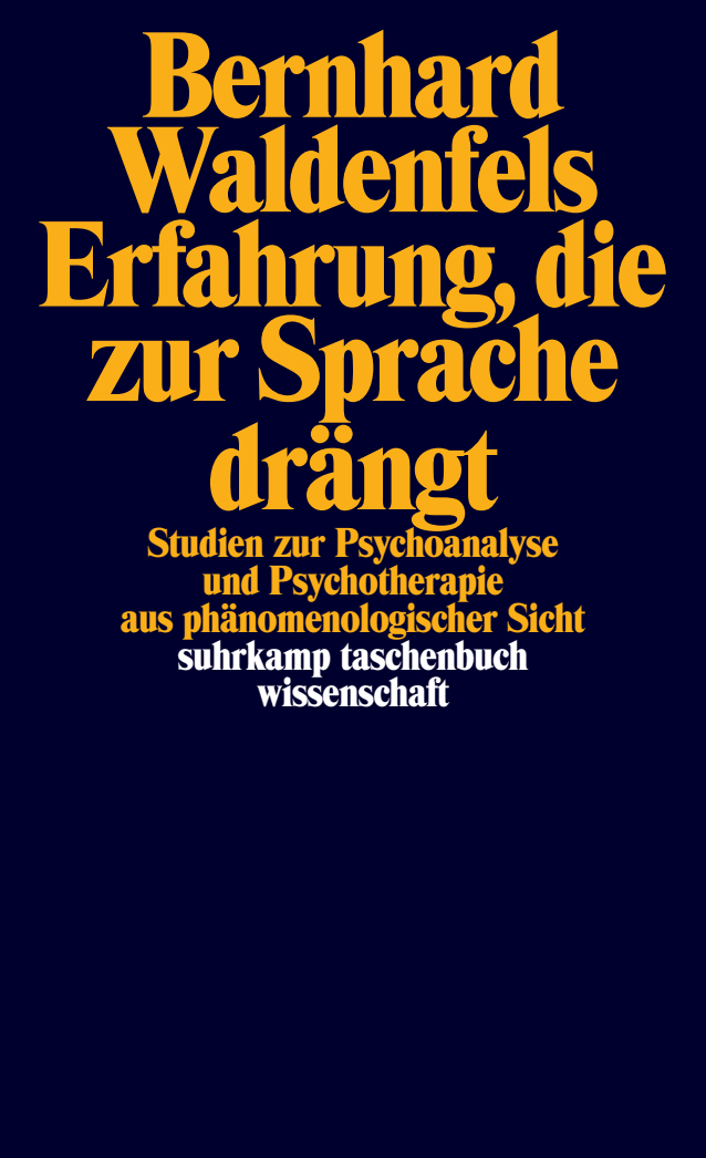 Vorderes Coverbild Erfahrung, die zur Sprache drängt