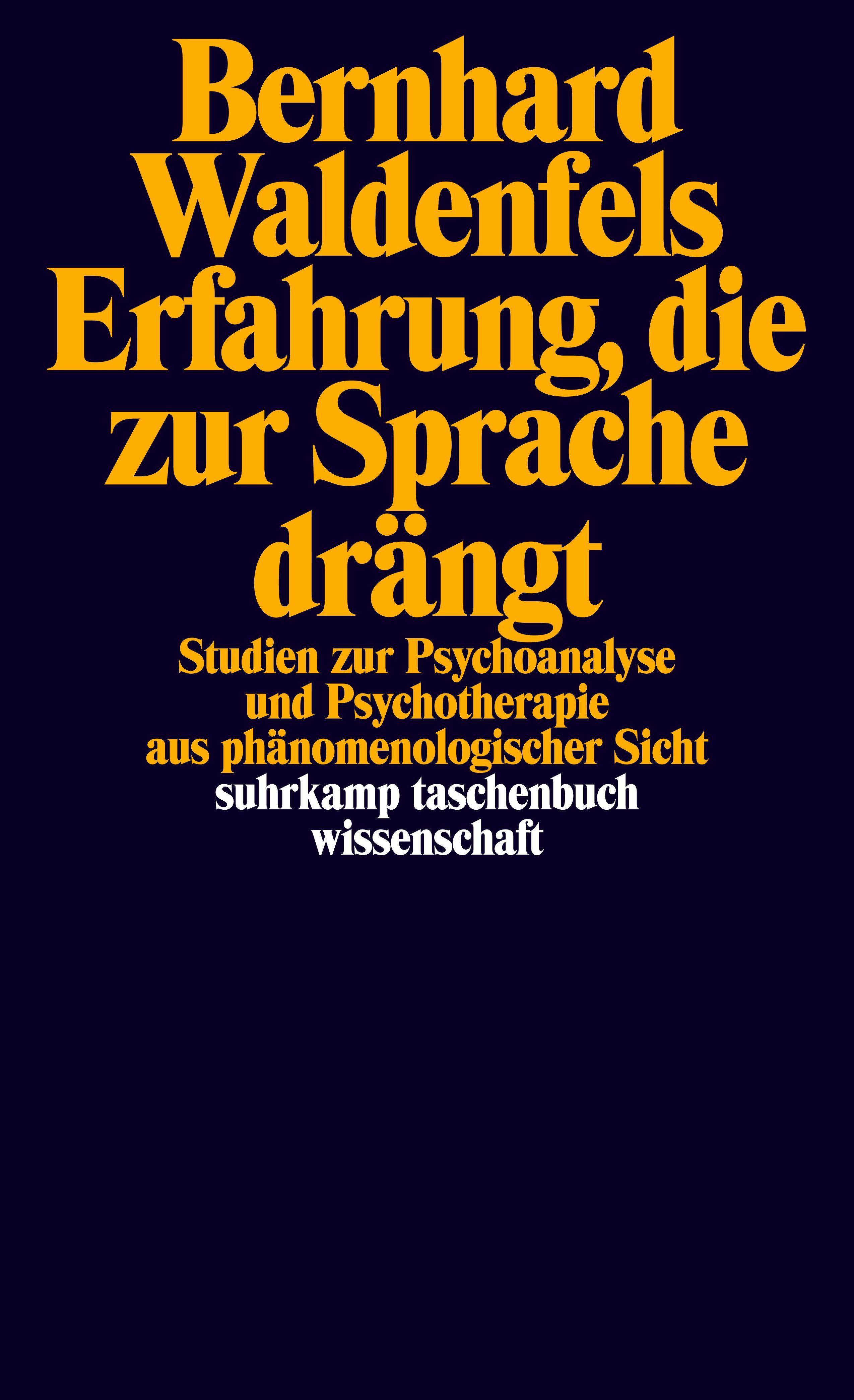 Vorderes Coverbild Erfahrung, die zur Sprache drängt