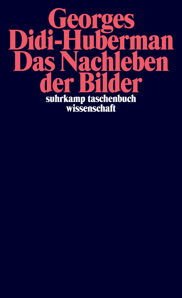 Vorderes Coverbild Das Nachleben der Bilder