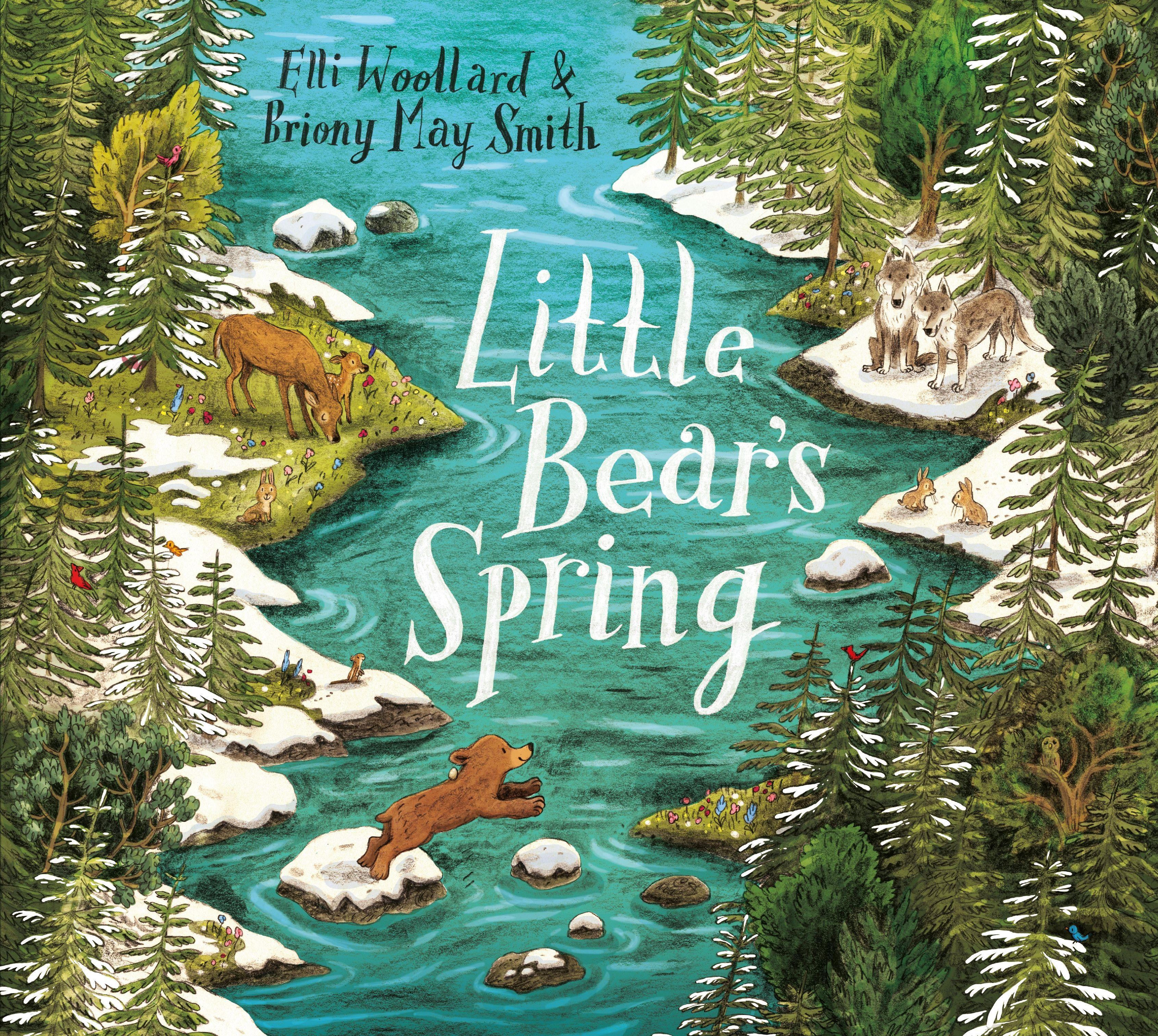 Vorderes Coverbild Little Bear's Spring