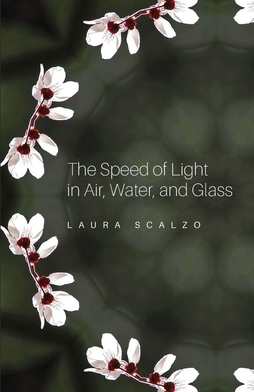 Vorderes Coverbild The Speed of Light in Air, Water, and Glass