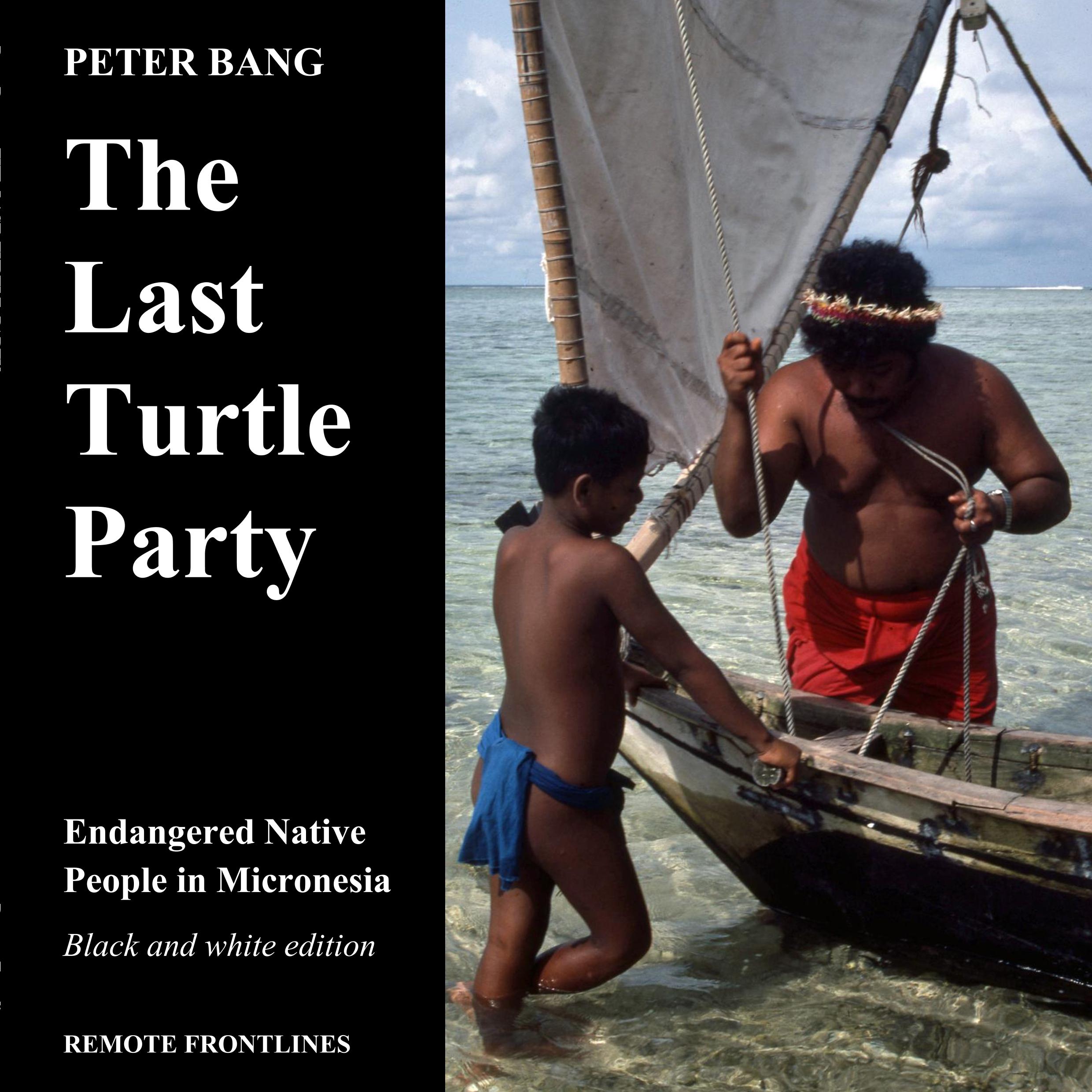 Vorderes Coverbild The last turtle party