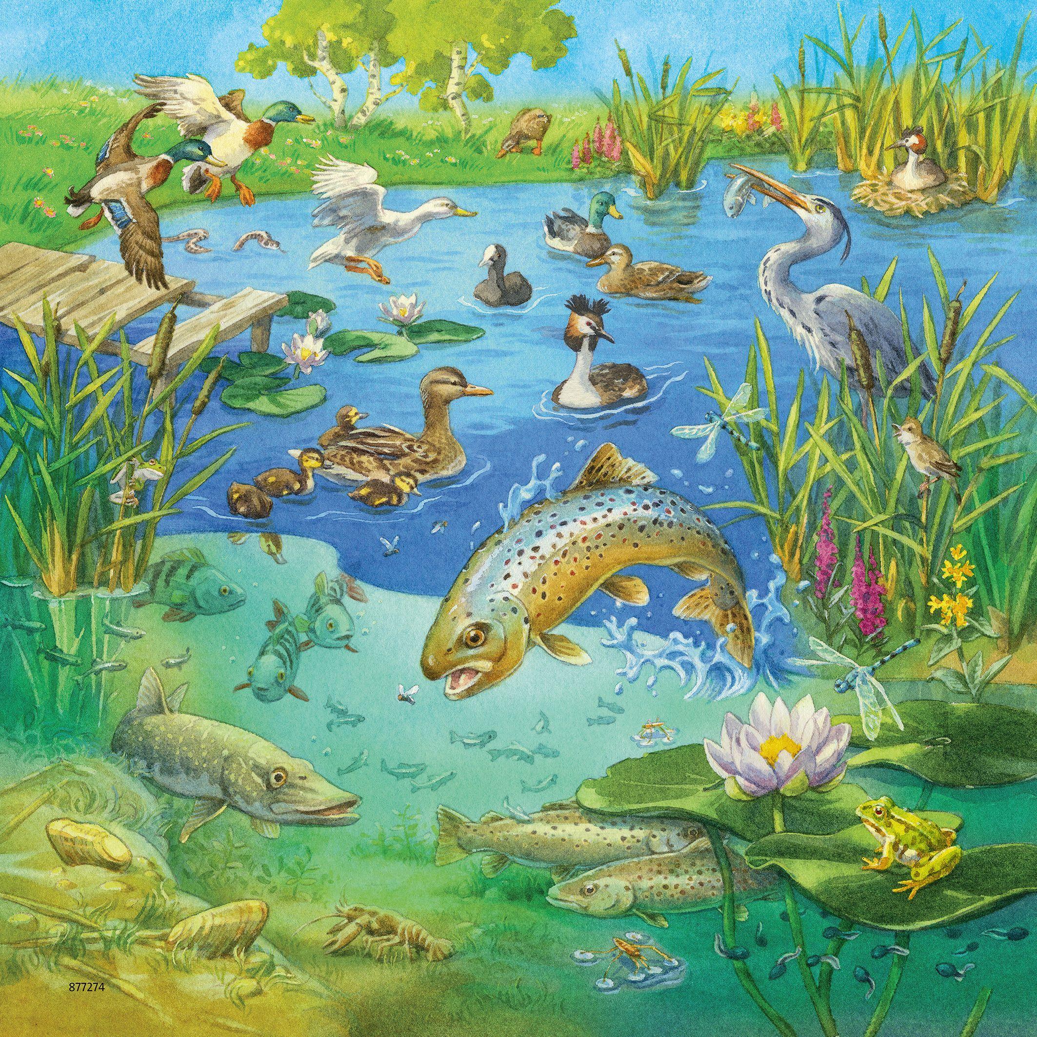 Beispielinhalt (Bild) Tiere in ihren Lebensräumen - Puzzle mit 49 Teilen